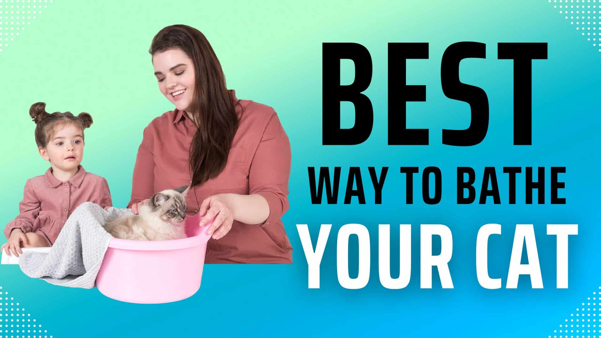 Best way to bathe your cat