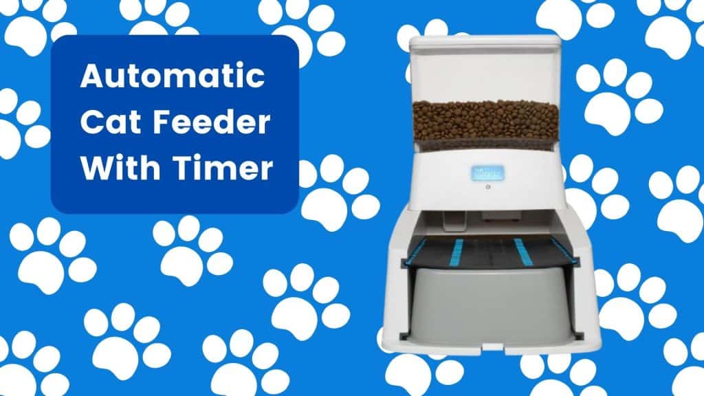 Automatic Cat Feeder With Timer