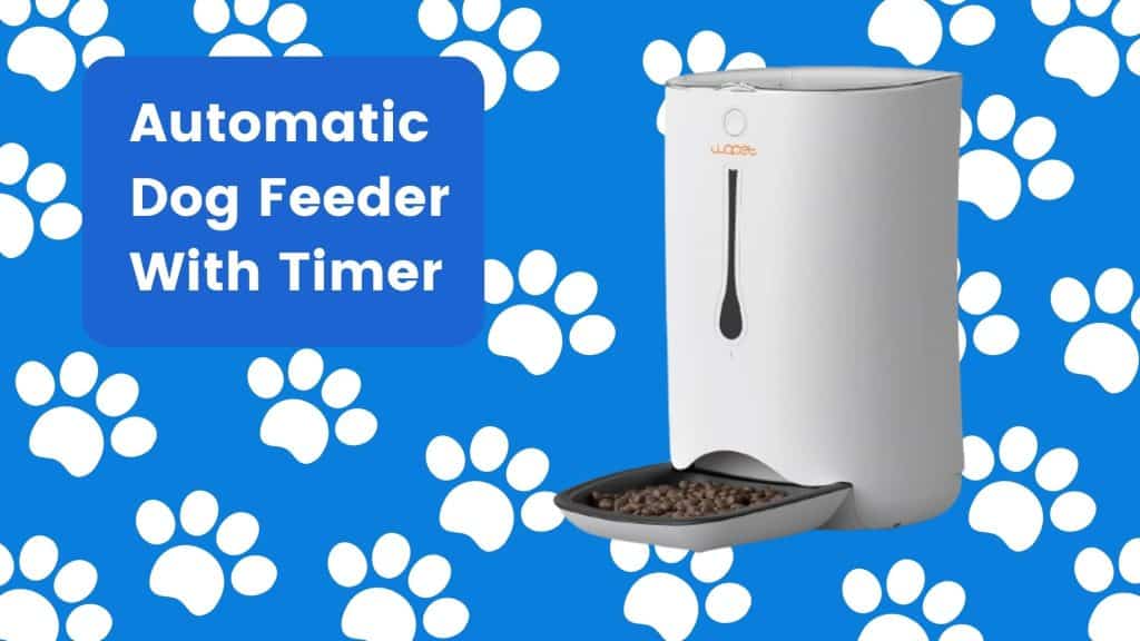 Automatic Dog Feeder With Timer