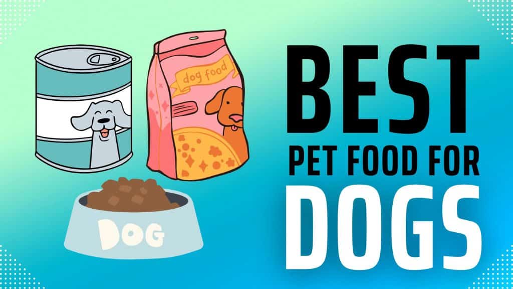 Best Pet Food for Dogs