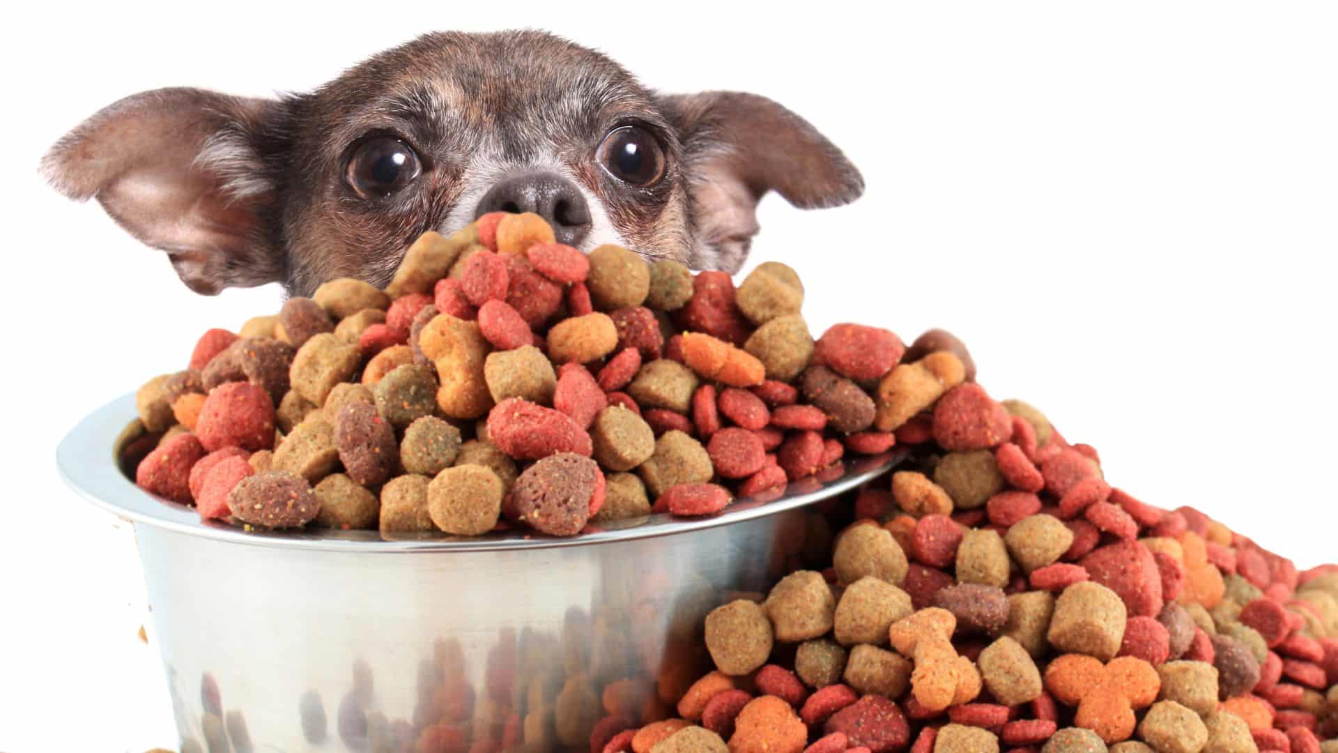 Small breed dogs require especial wet foods with less calories