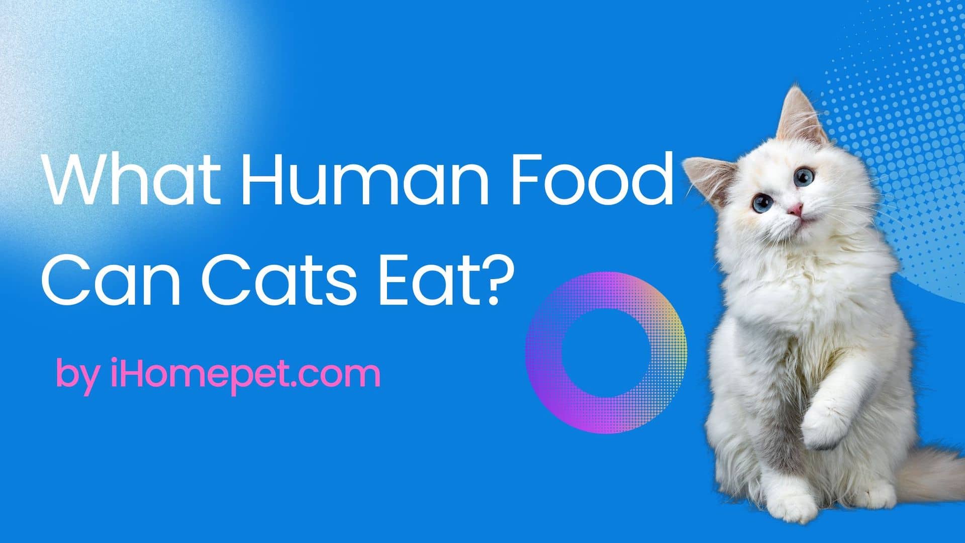 Human foods that are good for your feline's diet and digestive system