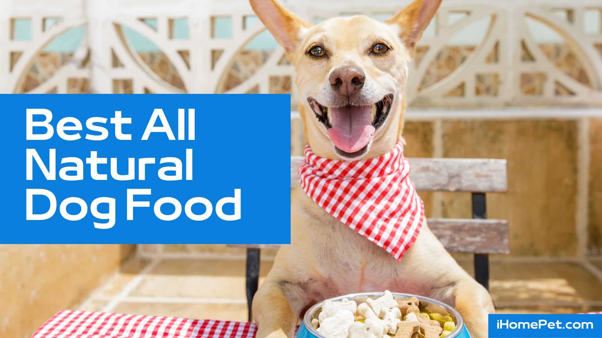 Natural dog foods for weight management