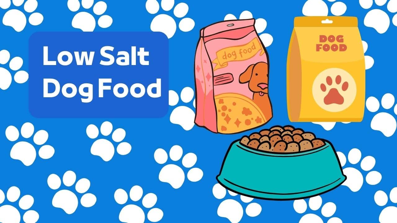 Best low sodium dog formula and recipes to prevent fluid buildup