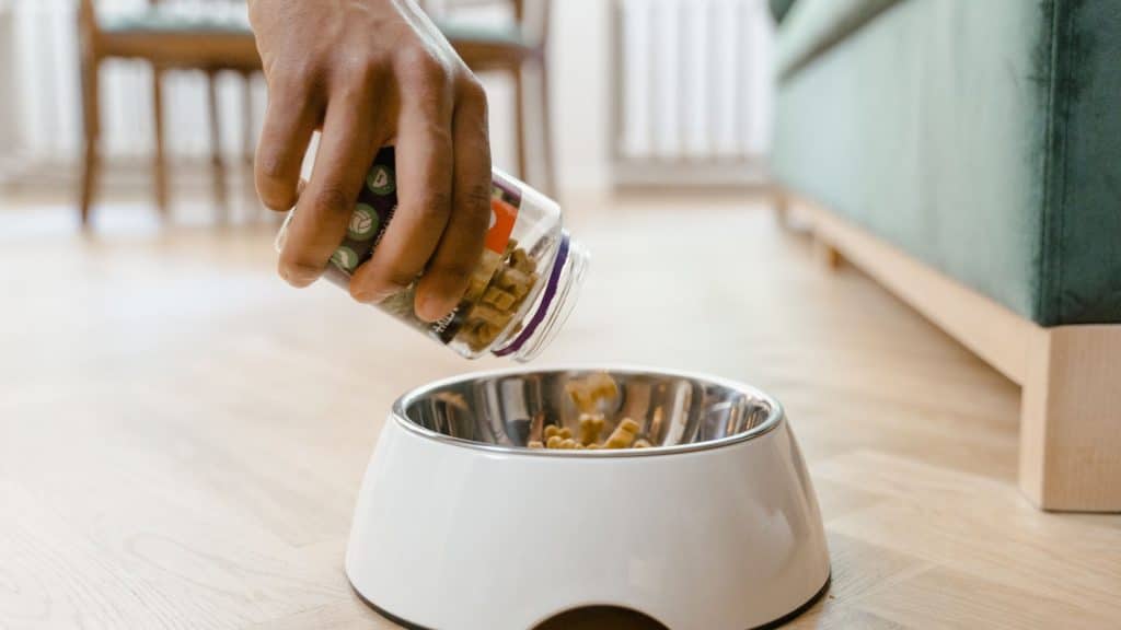 Low Sodium Dog Food Achieve A Complete and Balanced Diet iHomePet