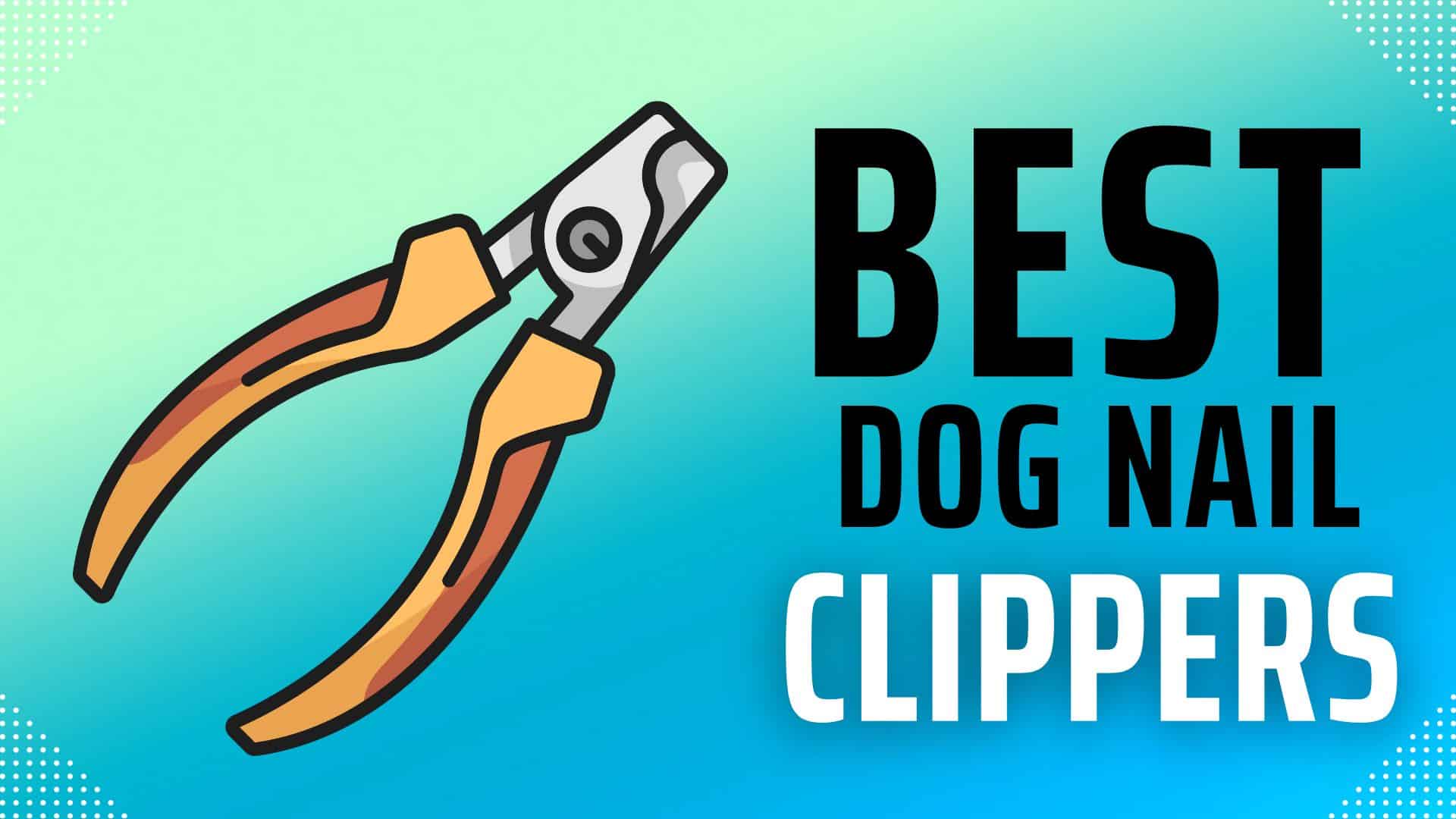 Best Nail Clipper For Dogs