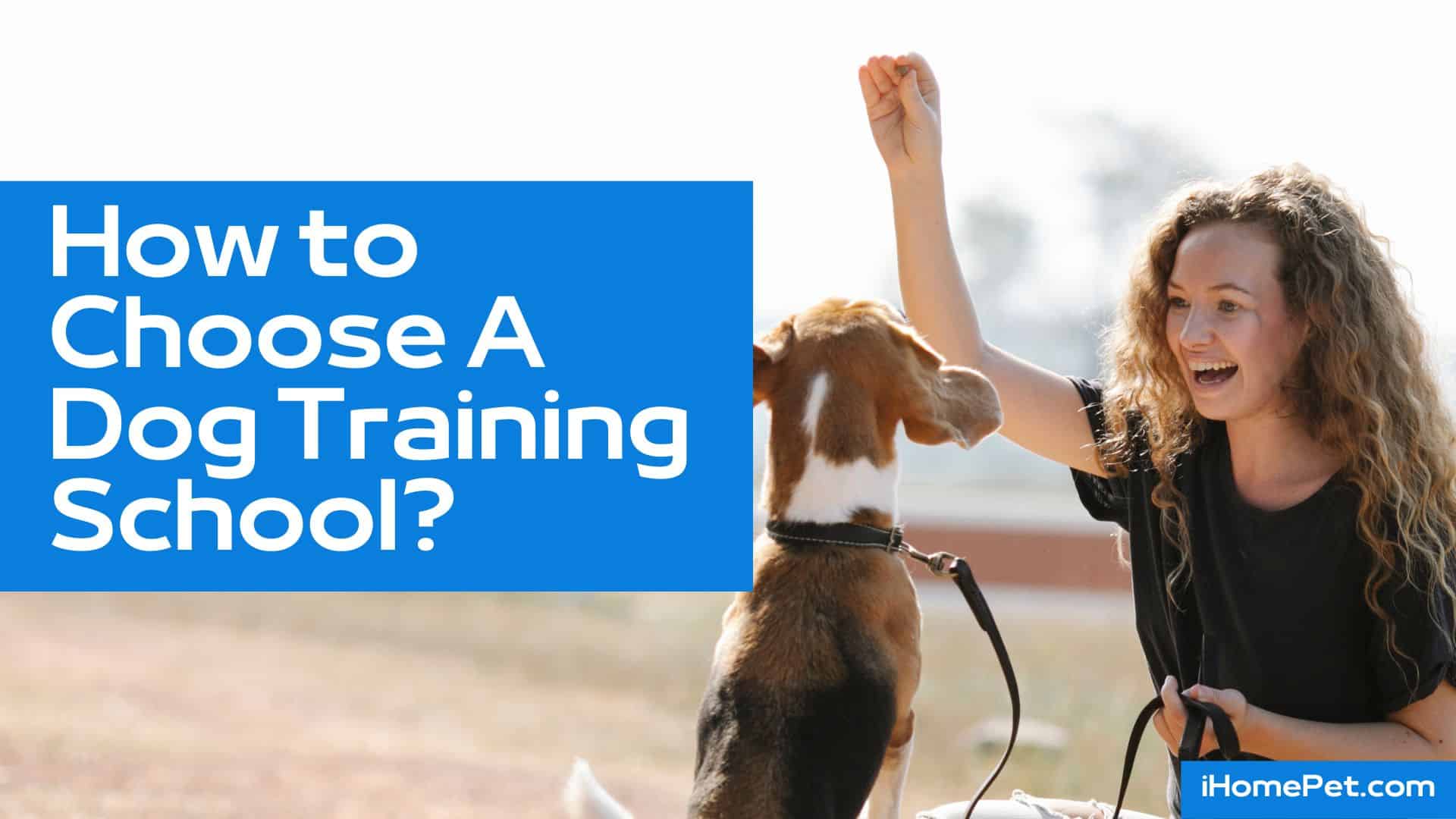 Entire household needs to if the dog trainer offer guarantees