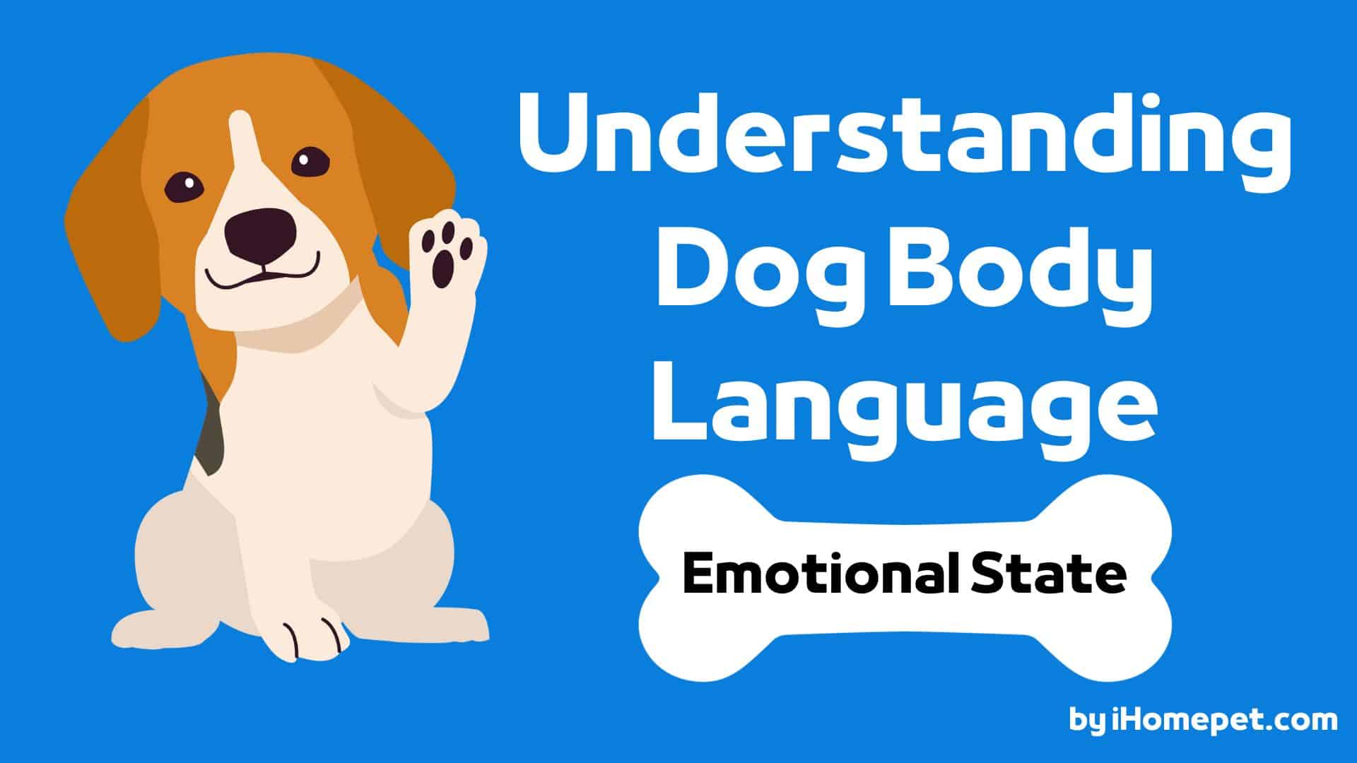 How to read dog body language