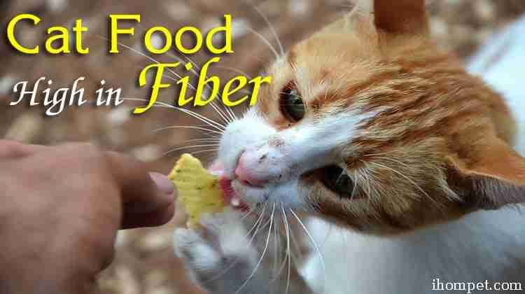 Cat Food High in Fiber