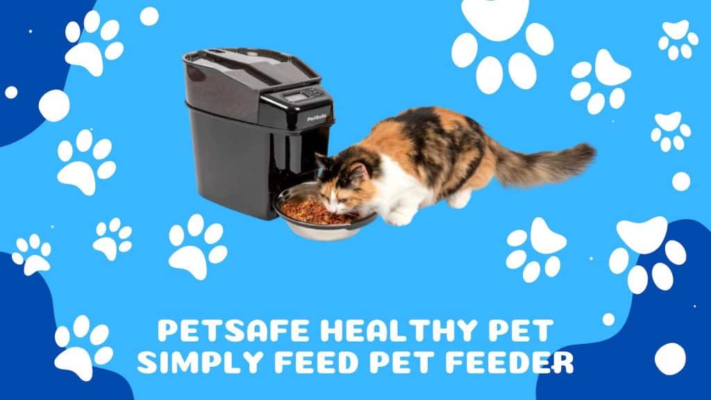 PetSafe Healthy Pet Simply Feed Pet Feeder