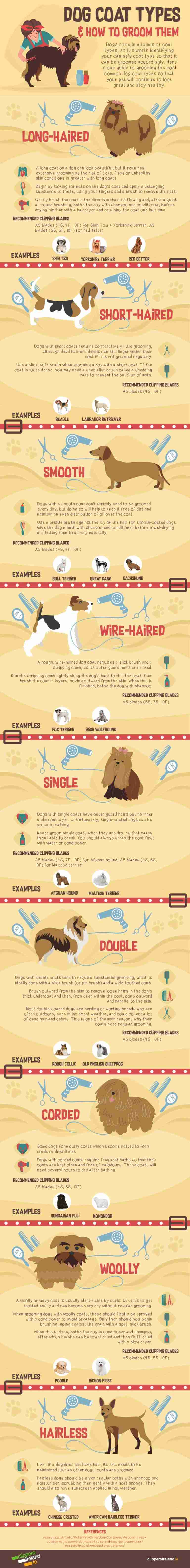 [Infographic] Dog Coat Types & How to Groom Them iHomePet