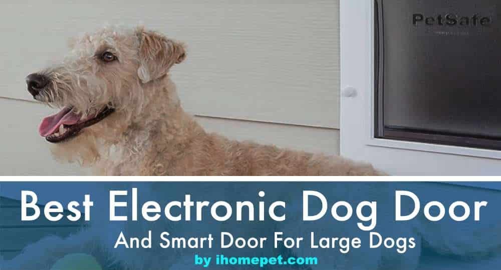 Best Electronic Dog Doors