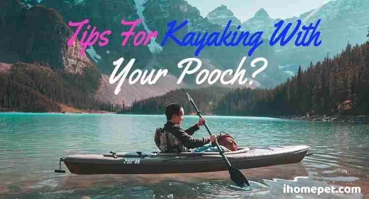 Kayaking with your dog