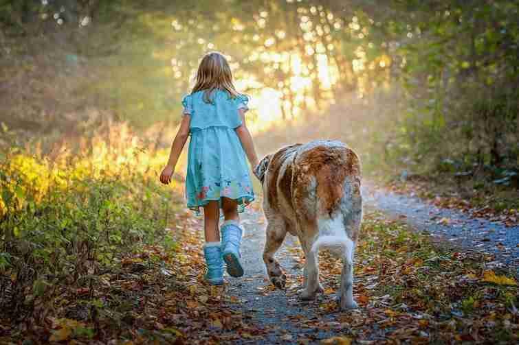 Childs best friend walking with a dog