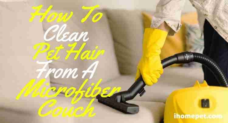 How to Remove Pet Hair from a Microfiber Couch
