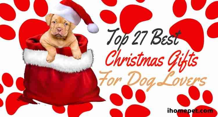 Best Christmas Gifts for Dog Lovers