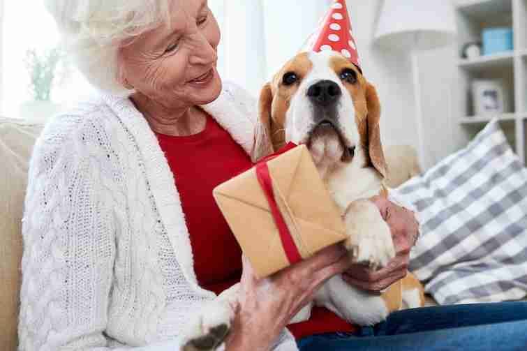 Dogs improve an older persons everyday life