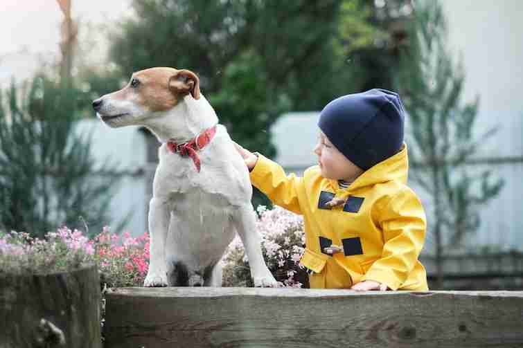 Pictures that resembles how a dog improves a childs everyday life