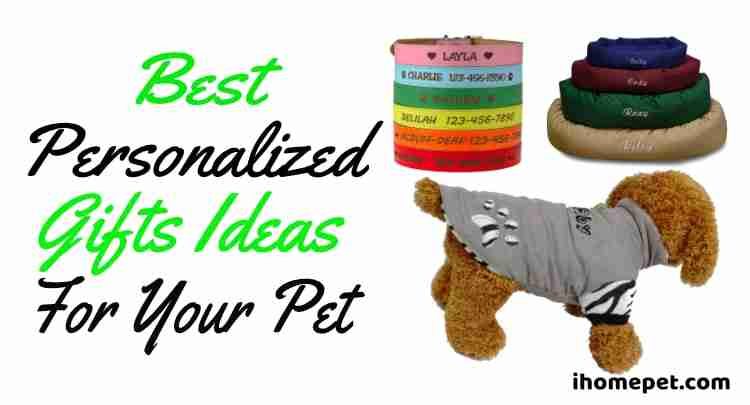 Best Personalized Gift Ideas For Your Pet