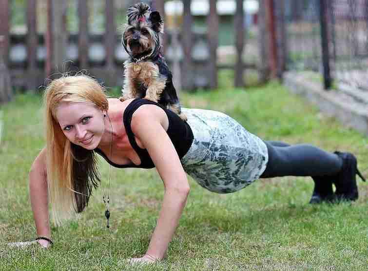Blonde woman training with a Yorkie