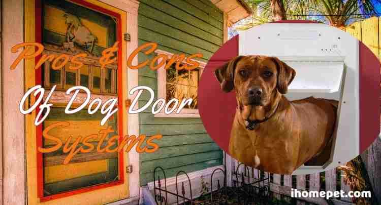 Pros And Cons of Dog Door Systems