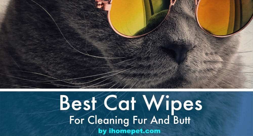 Top 10 Best Cat Wipes For Cats With Dirty Fur And Butt Ultimate Guide